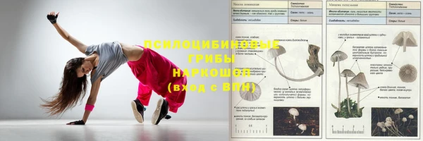соль ск Инта