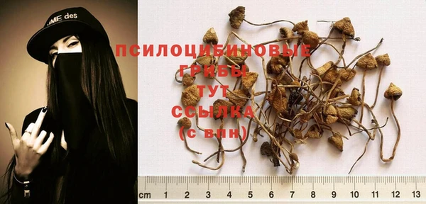 соль ск Инта